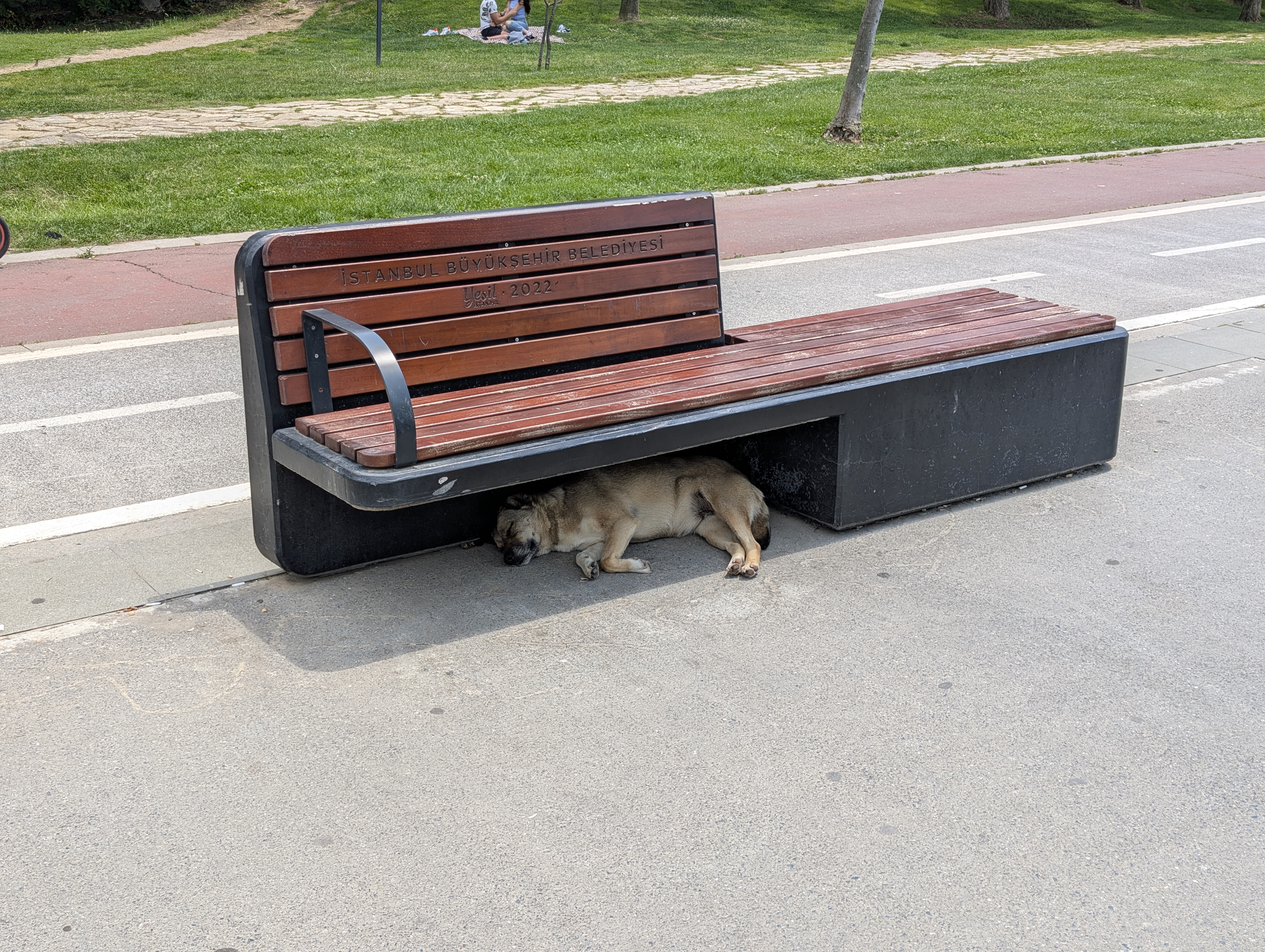 Hund